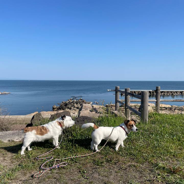 188c0656 9a2e 43bf 8576 73662508fb57 1714865915485