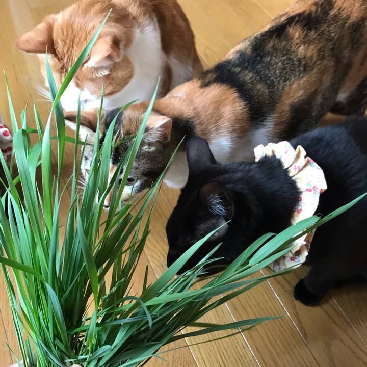 188c2db1 1f9d 40ba a24b 35f743d3a352 1622417488515