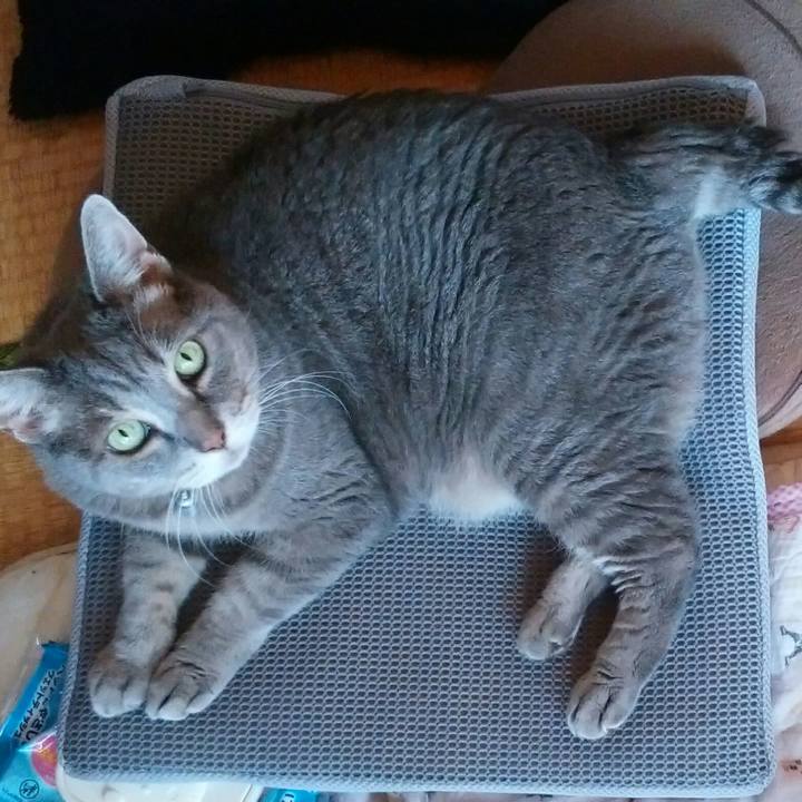 188c3521 6453 4f0d 9b62 7d4b9e1a23d6 1566696088006