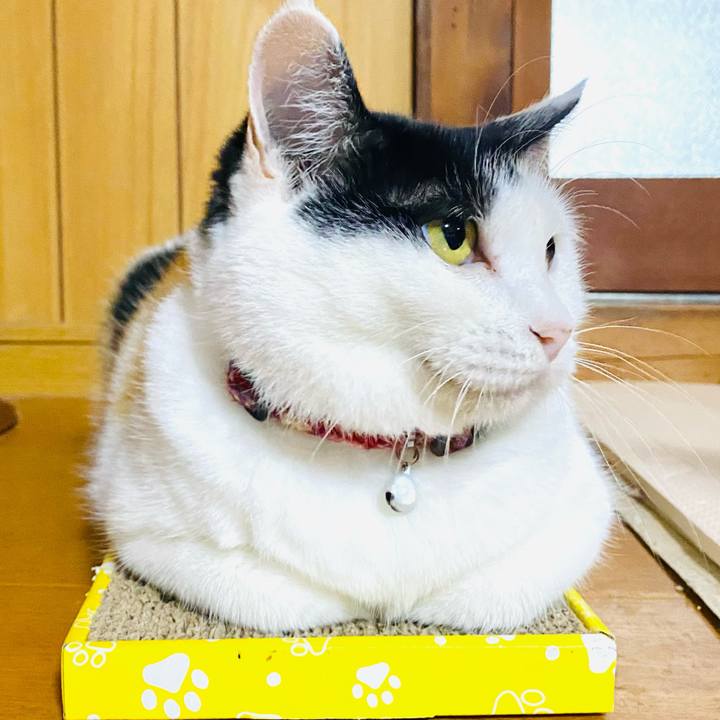 188c5a42 9695 45a5 ae23 bdbe0a8e1b58 1691891182304