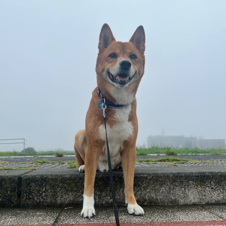 188c80ab 9945 449d b29d d10fa7db0baf 1694252411054