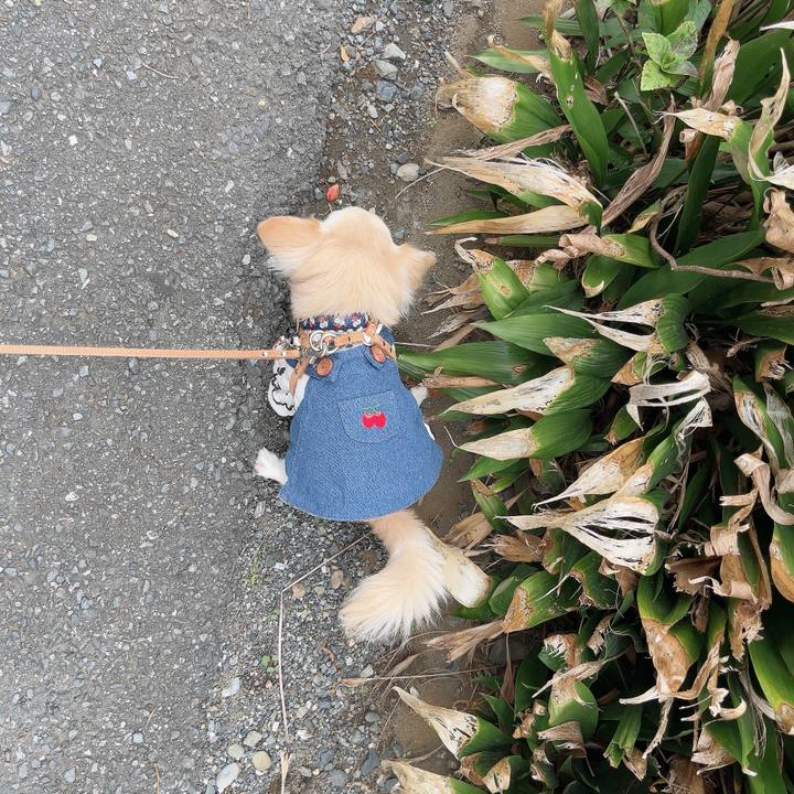 188c854f d6b2 4610 ba2a 49aa3eefdbc6 1729512189044