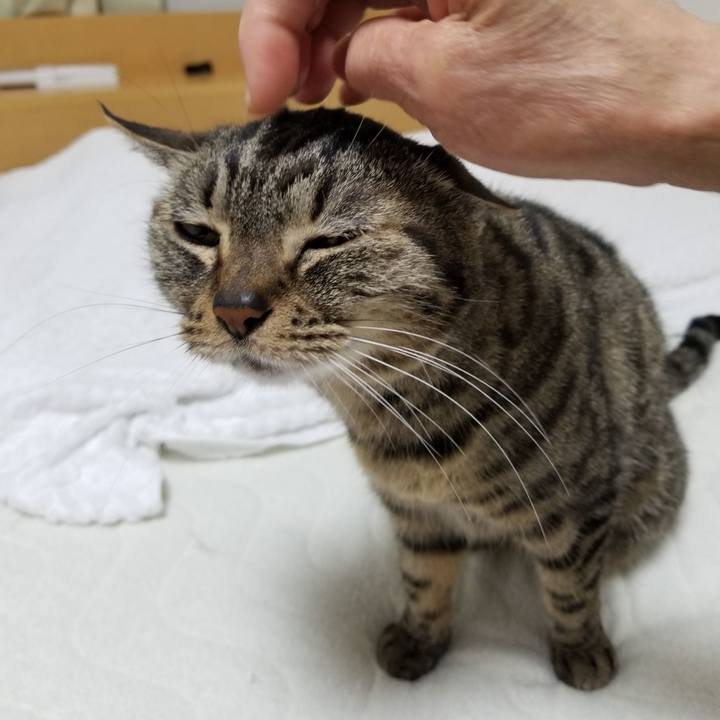 188c9da0 d1f6 474d 86e9 791a517f0c25 1620335918191