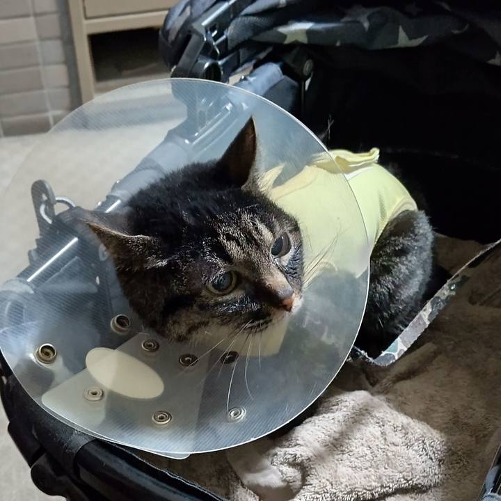 188ca723 6e15 4fd6 896c 4caca1109f7a 1646733624774