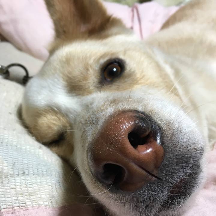 188cd8ef 7018 44eb b796 ae609229523e 1523373911943