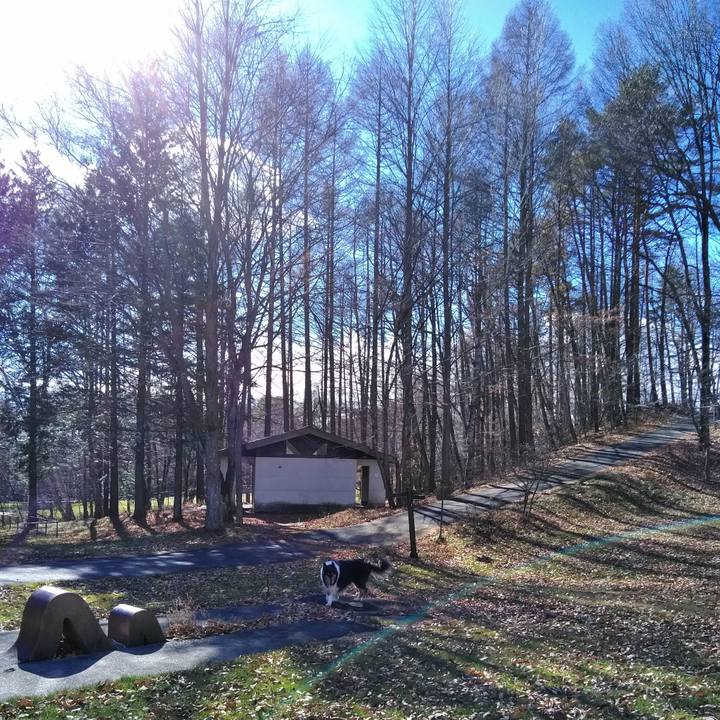 188cfd9c 9410 4766 85d0 49ca2f4de4e8 1511512390932