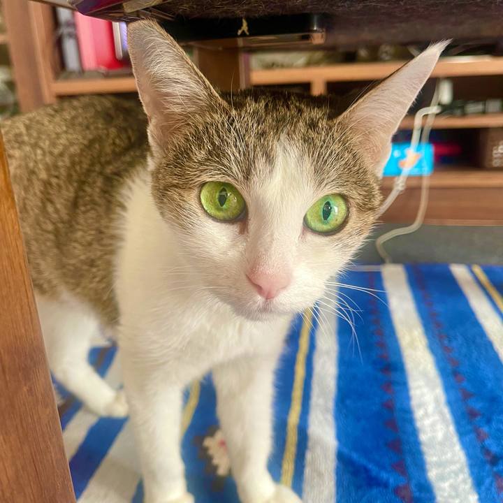 188d1f55 3ced 49db 82a5 19528a299467 1638665185402