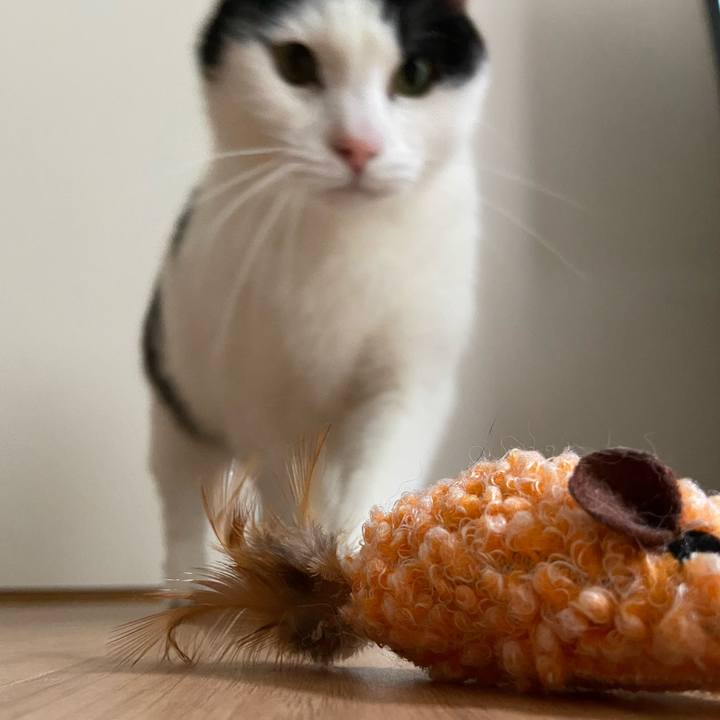 188d2f17 0716 4c6a 8de0 f3bdb9643567 1583154217722