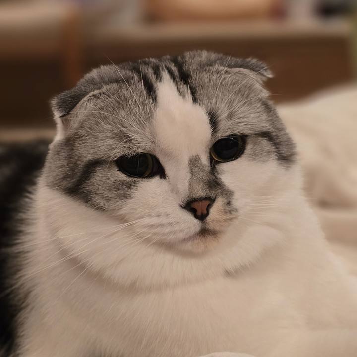 188d40ef b87c 4880 ab2e 2c8687983fc6 1729716346536