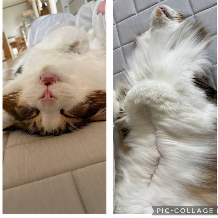 188d69ae 1a15 4fbf b16b b247194307d4 1719097468534