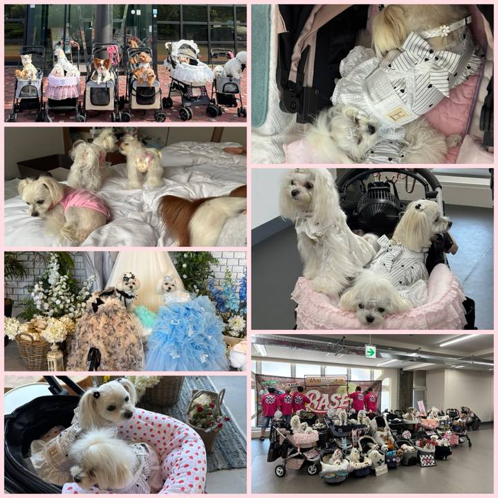 188d7d97 c1f8 4a97 9d22 8c257fcf2890 1754226852134