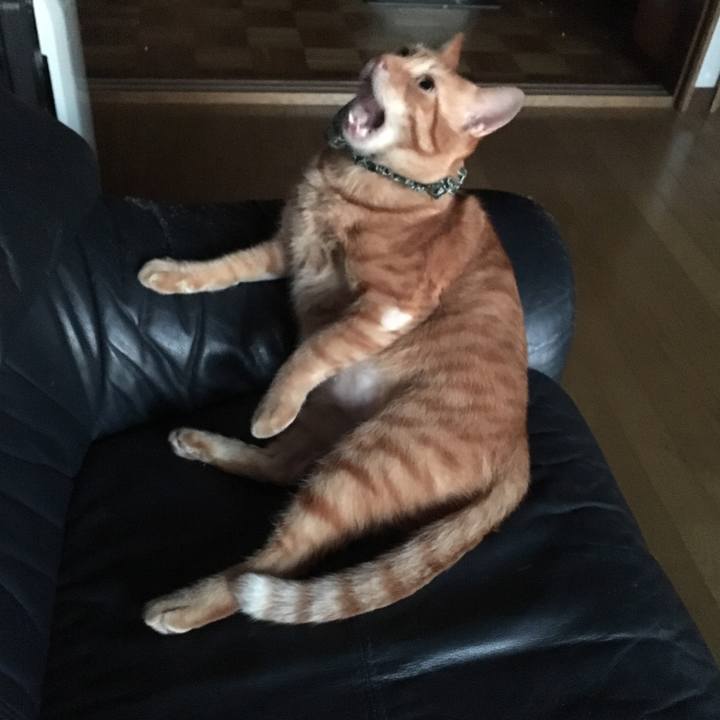 188d9d8f d46e 44b6 8fc5 8042d5e53fdf 1536955726236