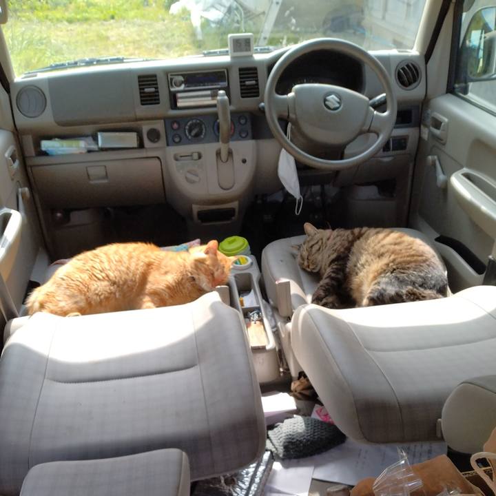 188dc45d 7bb4 4405 b4a0 b9d3c0fbe7ef 1685429637517