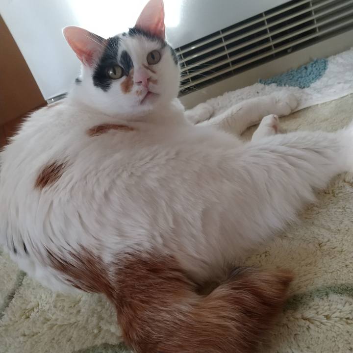 188ded45 5891 4d4b 851b c400bdda85d1 1668467217086