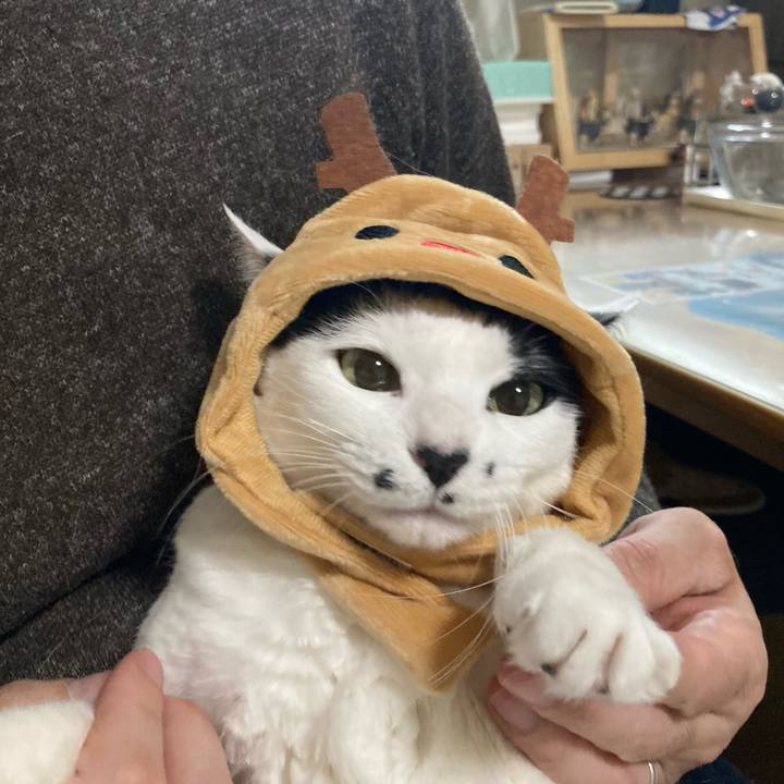 188dffe8 dec2 42e7 b052 5da3496ff738 1766062882423