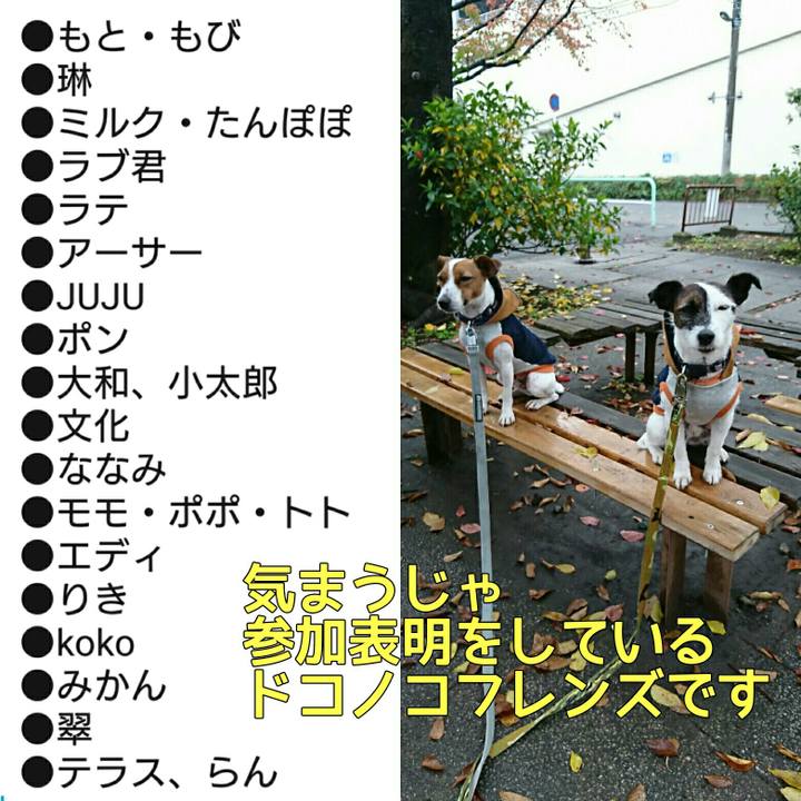 188e0061 f826 4c3d 91f5 9ba6026c35cd 1541411683180