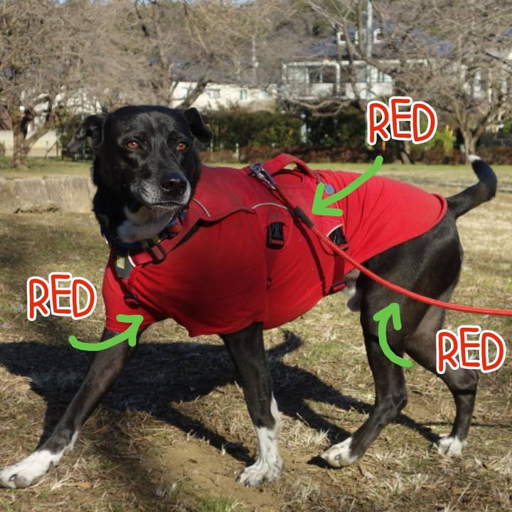 188e329b a11b 4bcb a085 debd857d2fb8 1677030718280