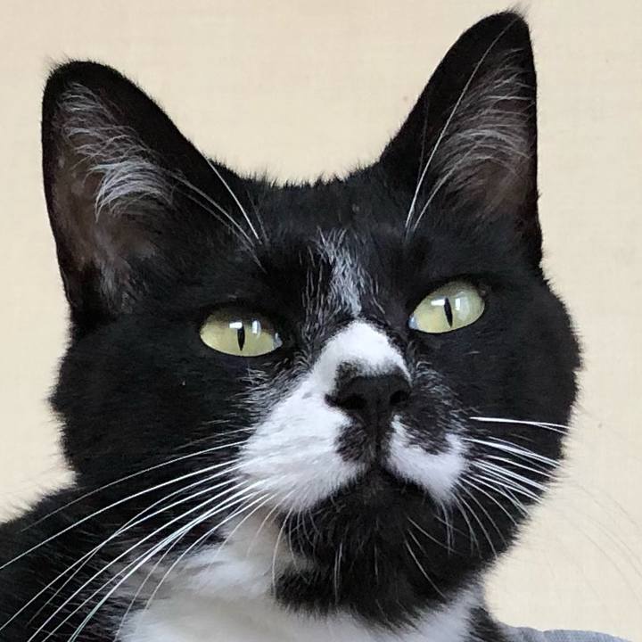 188e3583 70f2 47ca b5f3 efc2c0b831b9 1633751120364