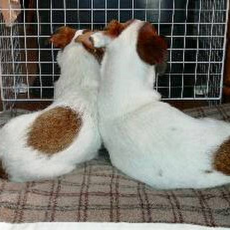 188e3be8 4fff 4b4e 981f 59d293285928 1552931172081