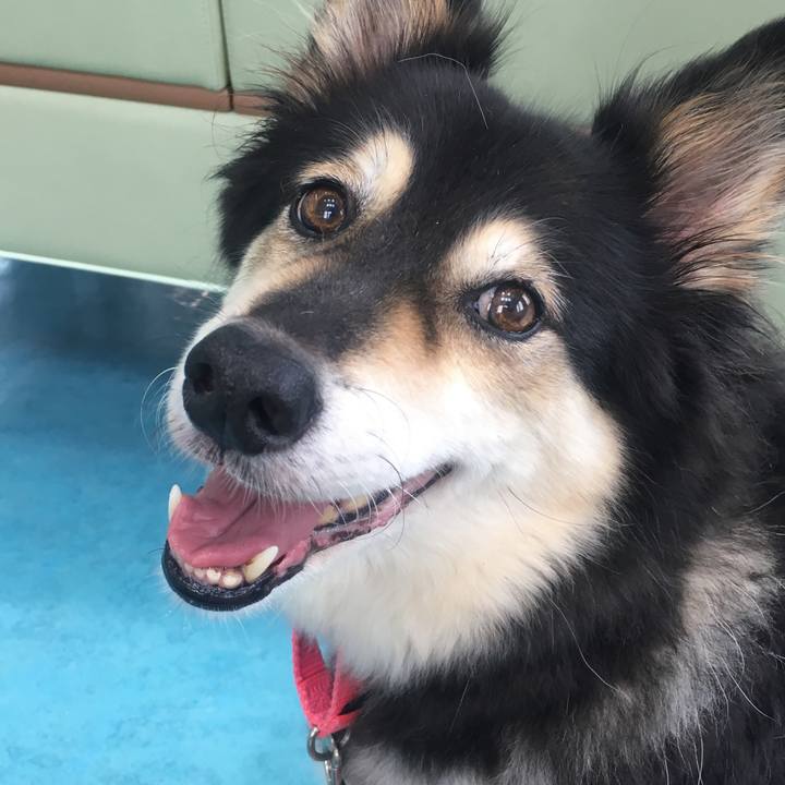 188e63f7 a304 4cf8 922d be9c61e2180b 1569757065713