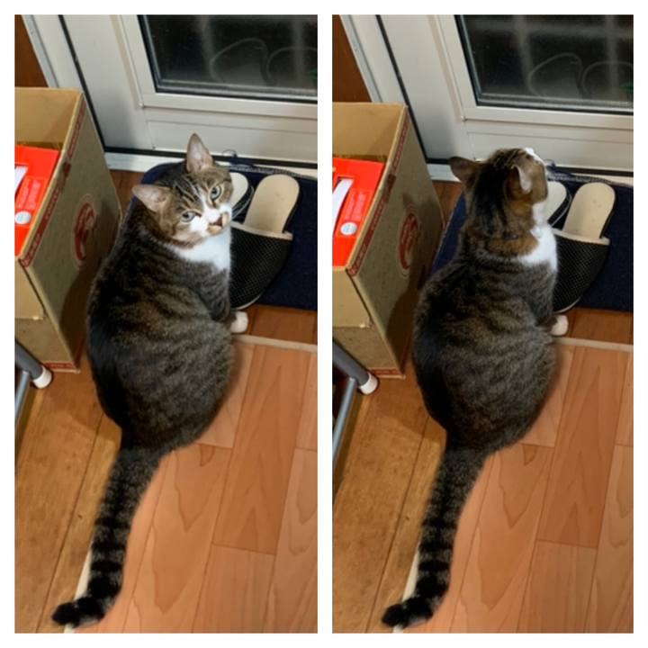 188e9837 360a 49bd 80ce 16fe9232902b 1609324903475