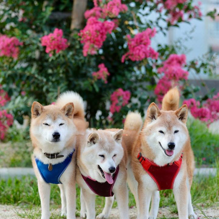 188e9b0a cbeb 4da7 9a9b 9b136924bb0f 1752335447633