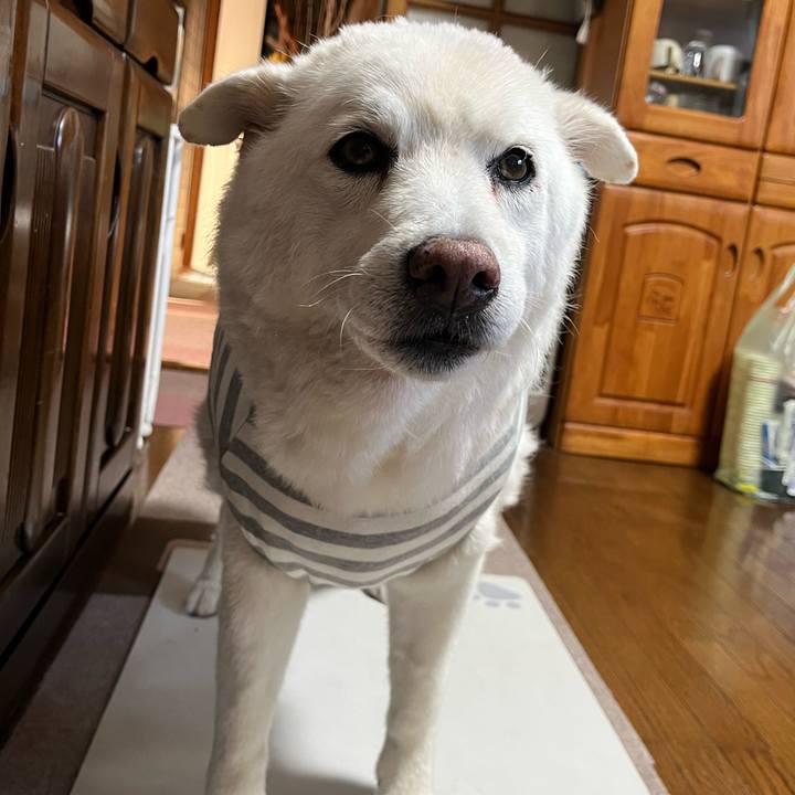 188eb138 08bb 49ed adcc caef47d8c7d5 1760916719240