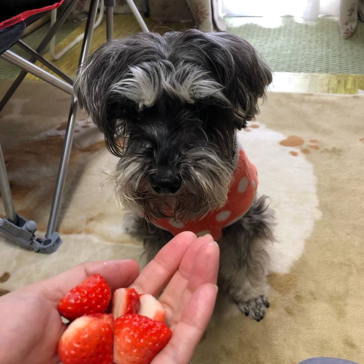 188ee51d 4976 479e a379 8d6eb4e54775 1555213204120