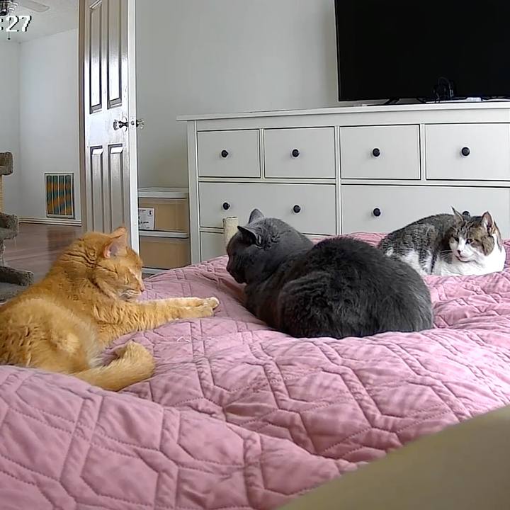 188ef932 db56 43b1 87ae b11f9d6d00e1 1769475620576