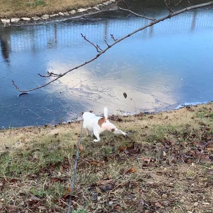 188f2234 d66f 4a93 8bf9 128024cdf36b 1546083401211