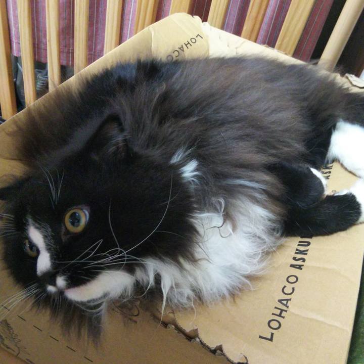 188f468f 086f 45ed 9297 1927a33c8ef5 1664711086125