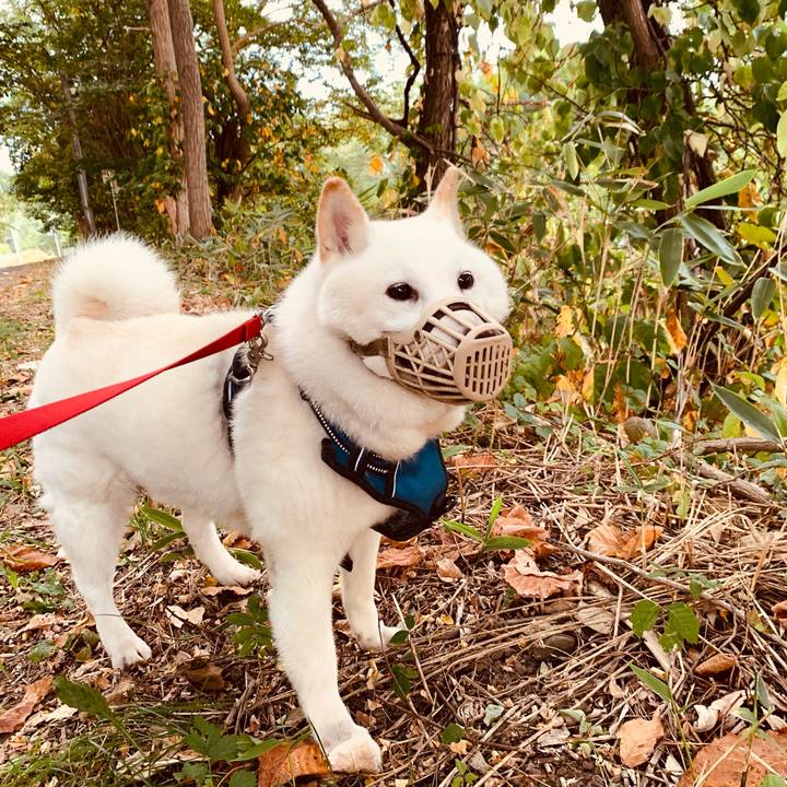 188f860f 9fbf 4a42 8c5d 55d8f20570be 1632262707582