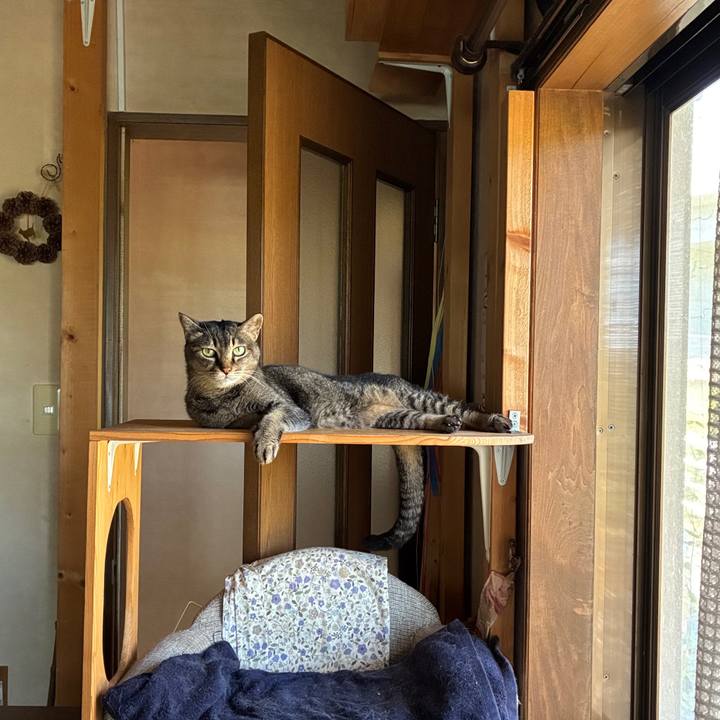 1890074e 674a 4925 a53d e90913c41688 1752365748751