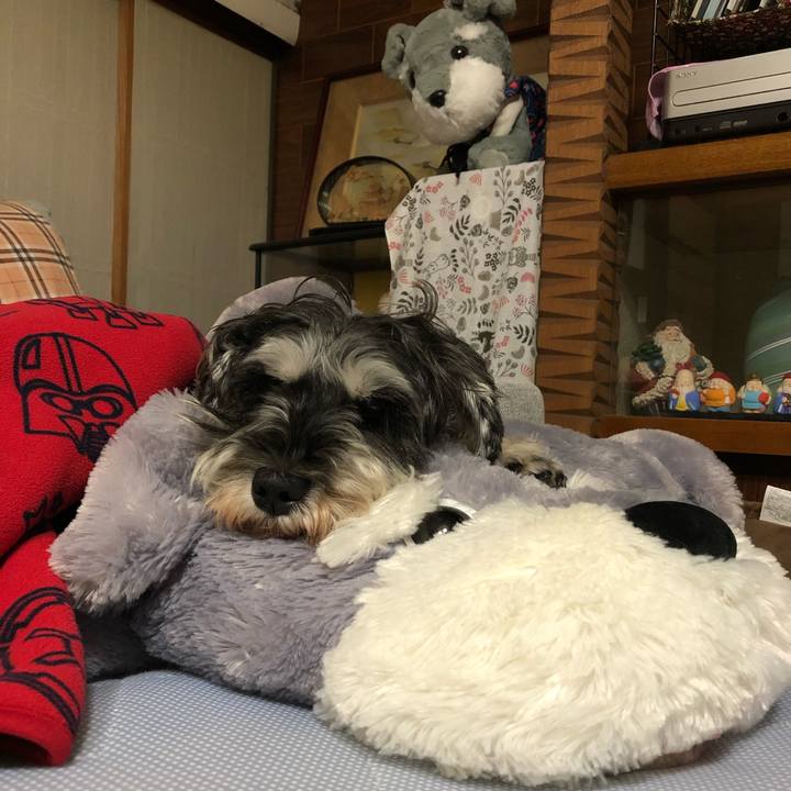 189007f2 3909 411f 88bc 1f9ba5a1cf38 1634300287078