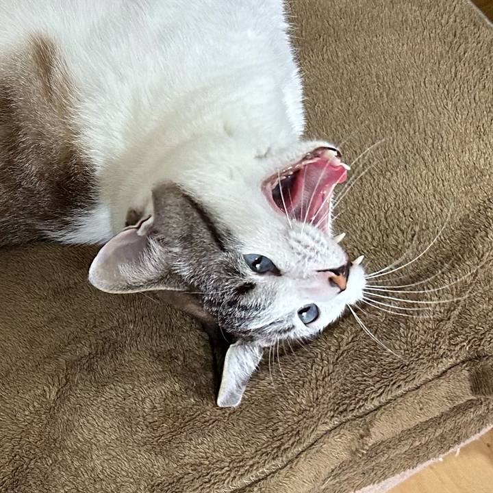 18903280 6155 407c 88b1 d0a355c11f33 1686266814363