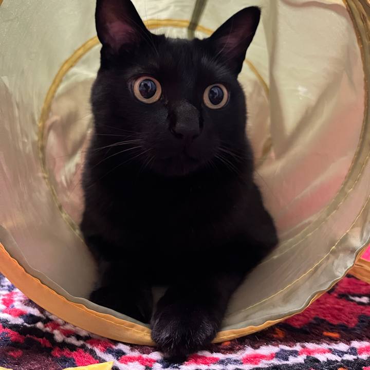 189036cd f2a4 4c2b bc6b 3760403f9d58 1719231985208