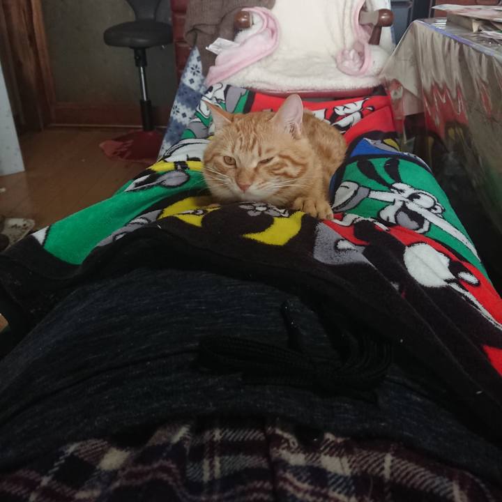 18904144 0aaf 4b9f acc8 1f4eea9c7450 1645076780047