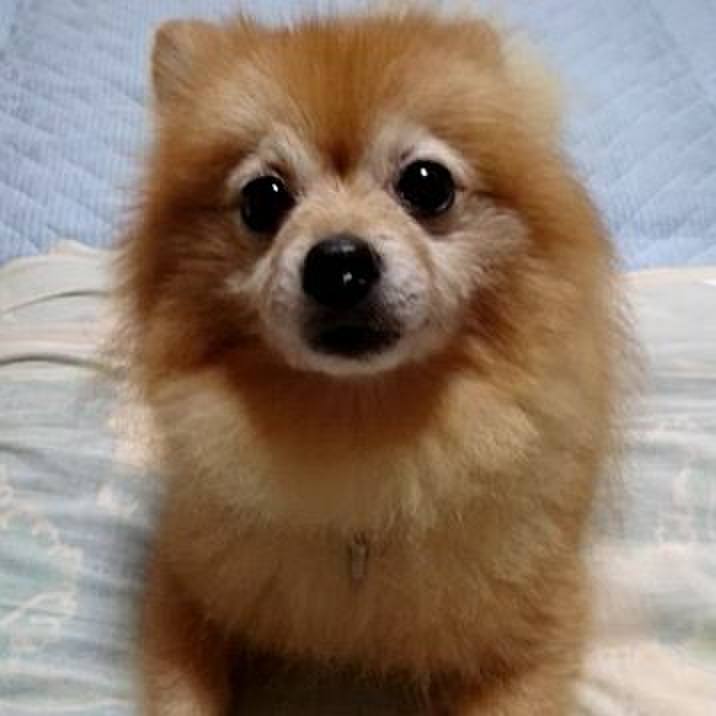 18905414 0422 4946 960d 2535535ef009 1508714708505