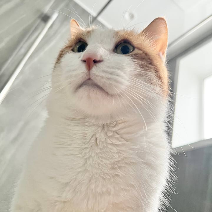 1890ca7b b617 4a59 a042 58e1abf594d7 1770426362881