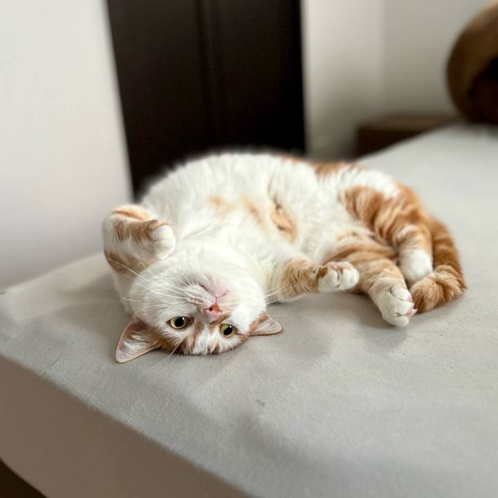 1891204e c3fc 42bf aa74 72481acf8134 1758512675586