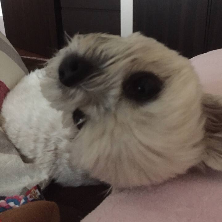 18912aeb 2d0c 4661 b37b b3876f36d024 1524824743462