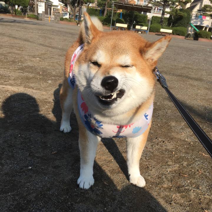 189153a6 61fe 48d1 9295 dbbe41c8cee9 1543297738992