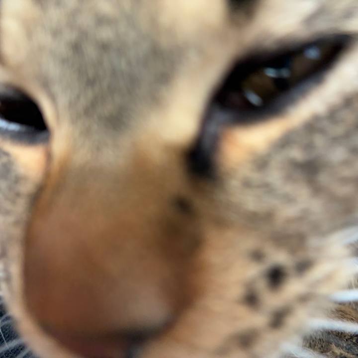 189167ff 90d1 45a3 9cf0 dc6a88bb1370 1745018445811