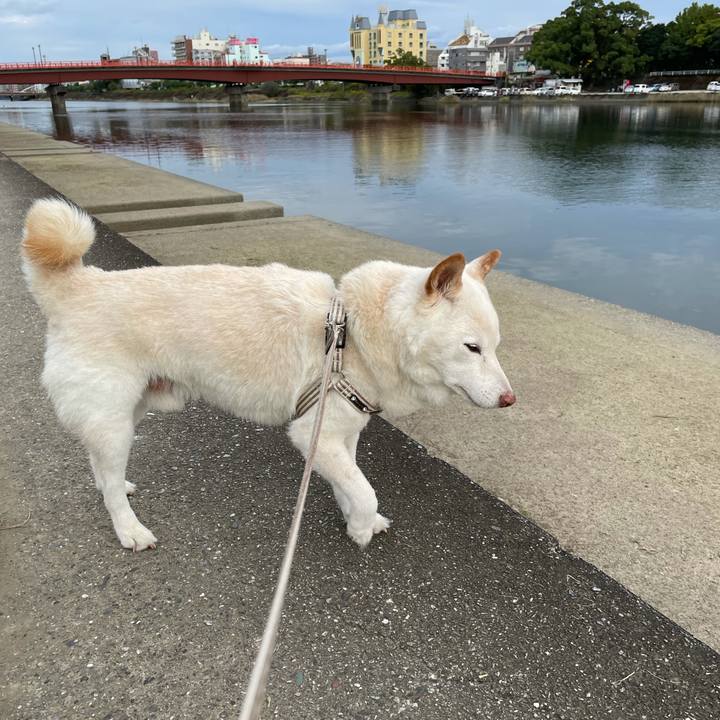 1891958a ea13 4e8e bfd6 58390e49fb9a 1635074459589