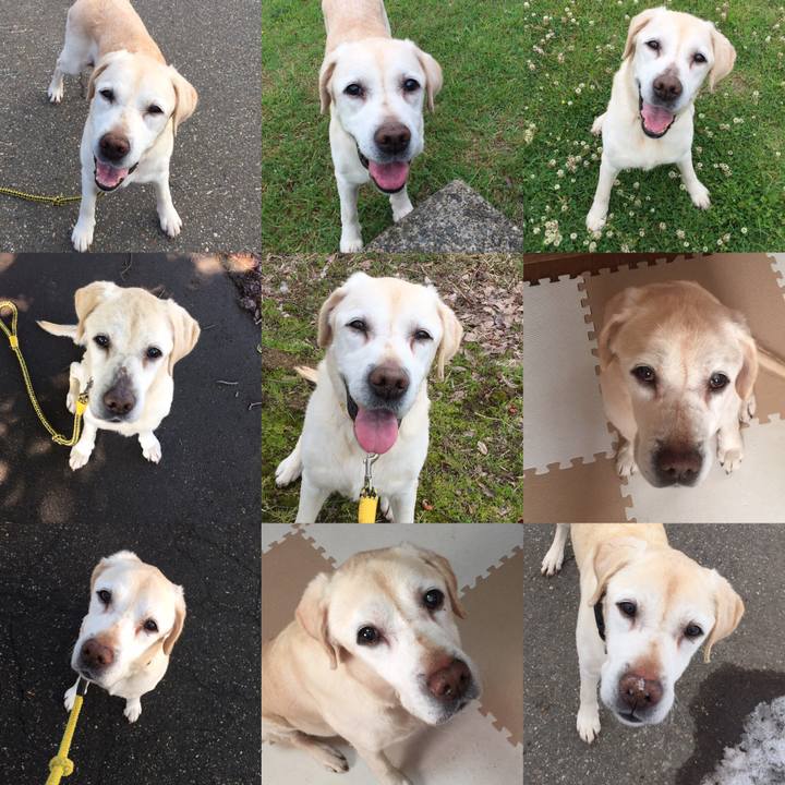 1891a490 7721 4419 aeaf cb3f92e03f8f 1698230619940