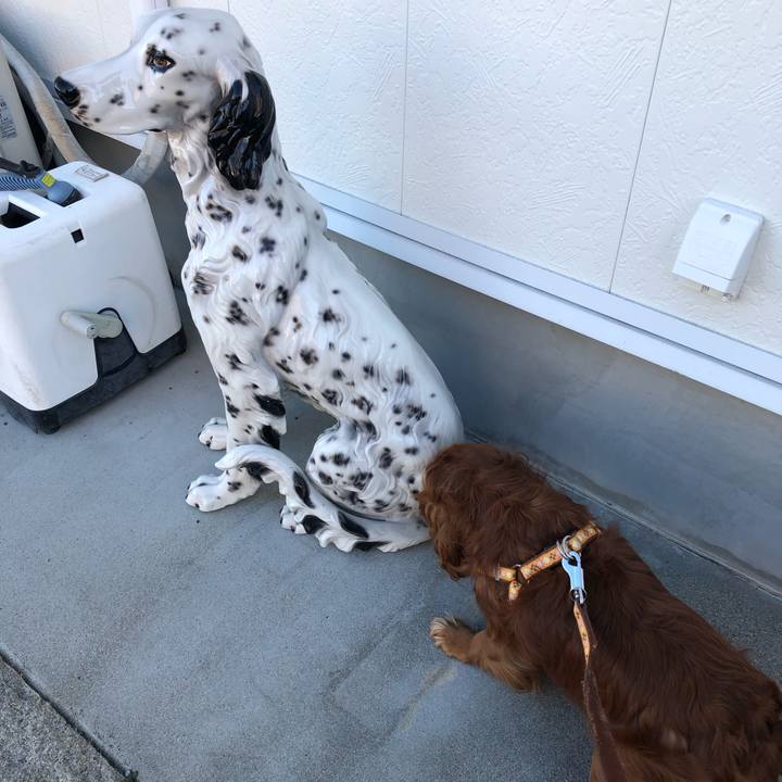 1891c014 eed8 4538 a834 7f24b0403d16 1644023009388