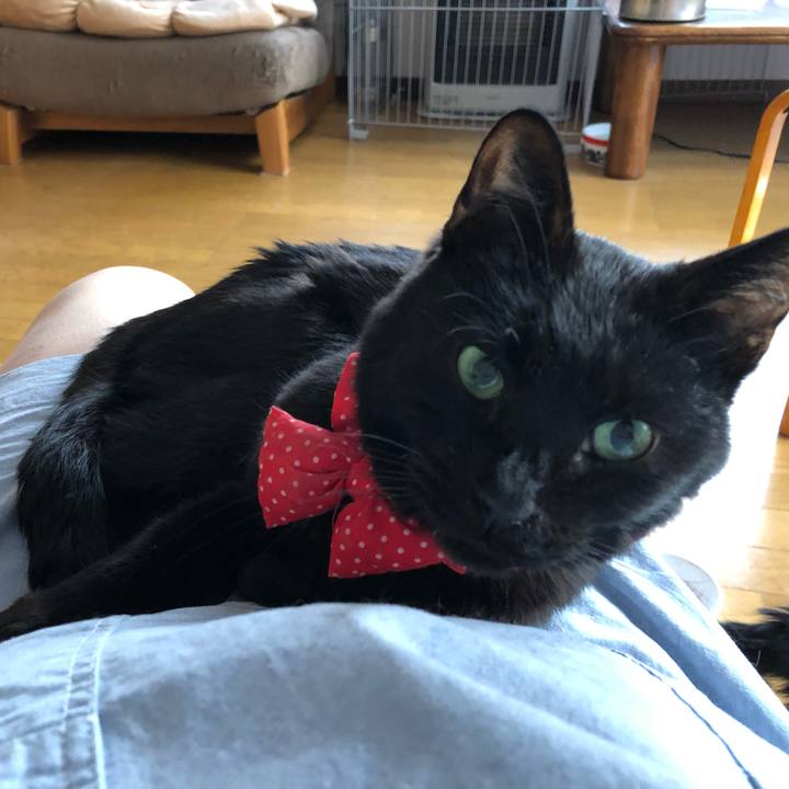 1891c4a0 c67e 436f b303 ace529103af1 1553982276732