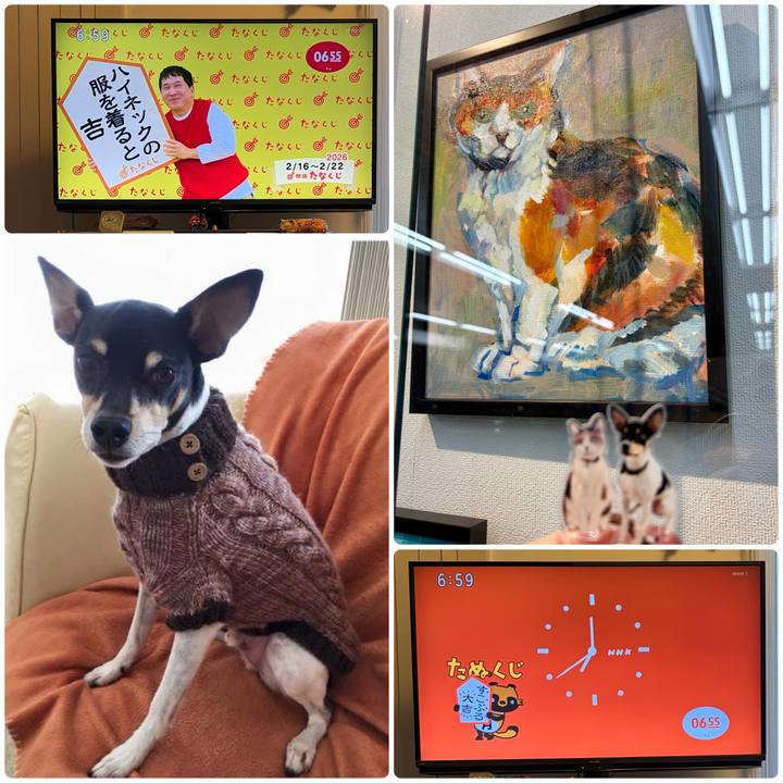 1891cc1d c7ad 4f5d 98ca 3f2a0c7343ff 1771195156114