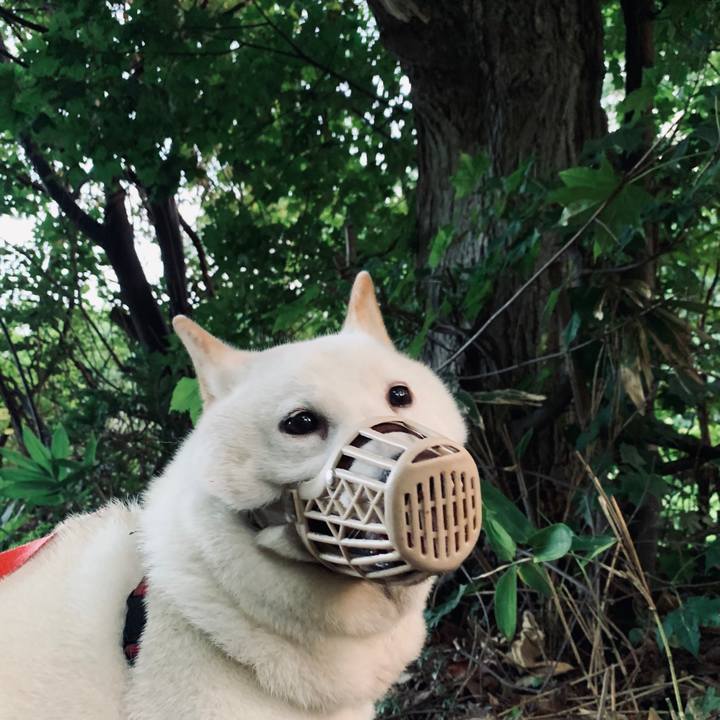 1891efff 801a 4ea5 9e1d 400f395665a0 1597784778347