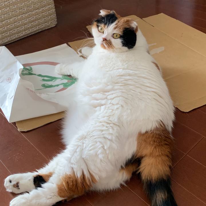 189205a0 89be 4e78 88fd 7468906e0df0 1568079466857